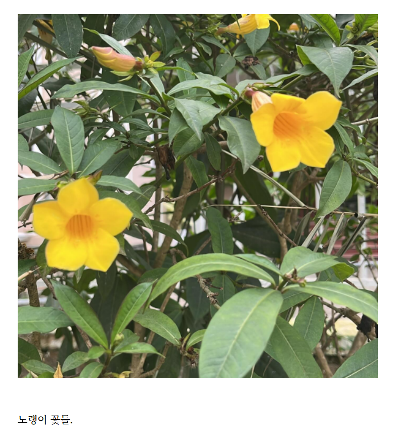 화면 캡처 2024-12-16 101612.png