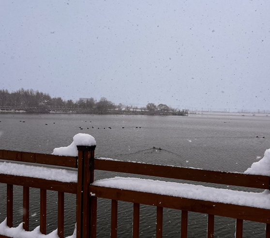 화면 캡처 2025-01-29 211603.png