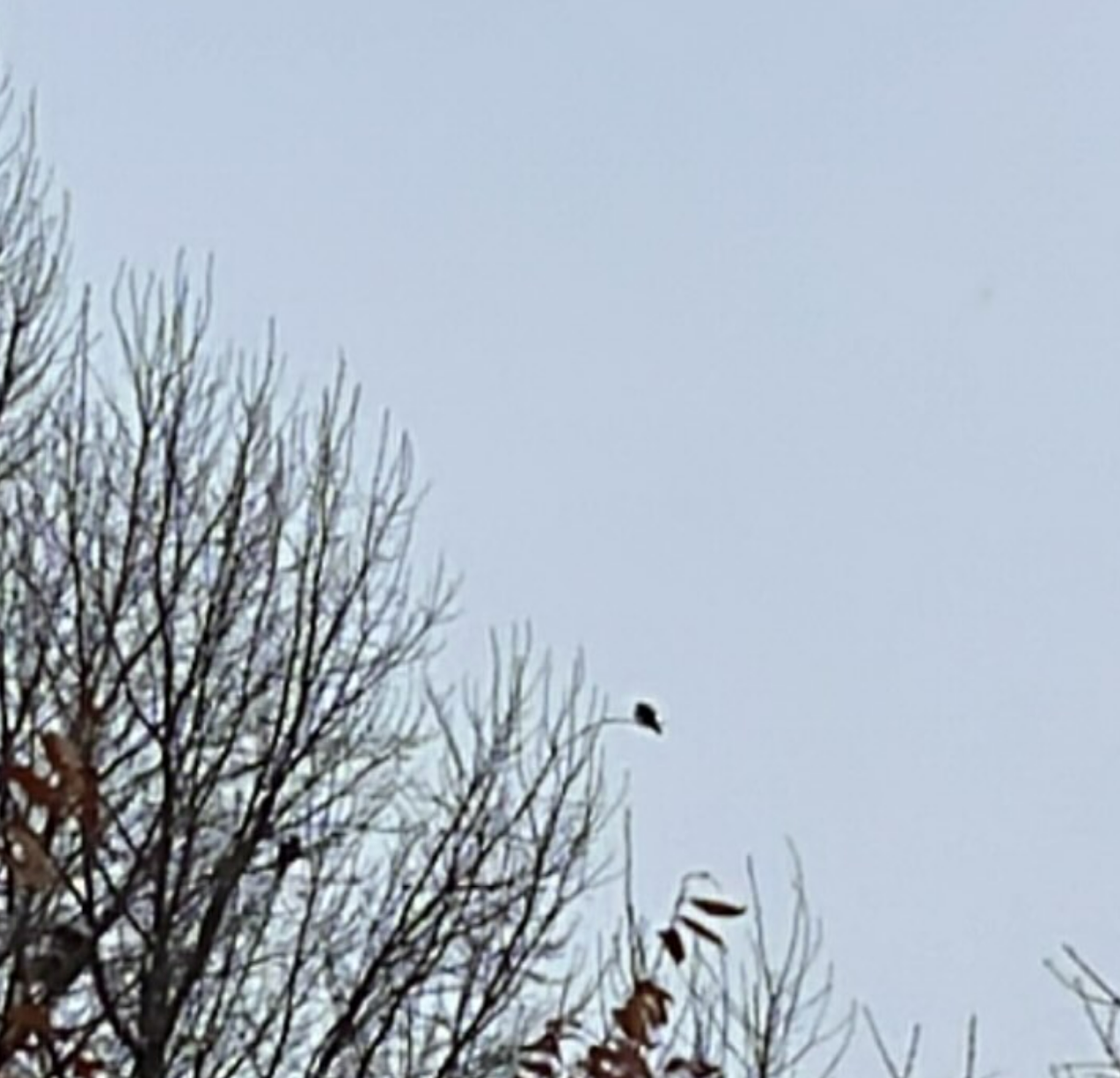 화면 캡처 2025-02-07 123759.png