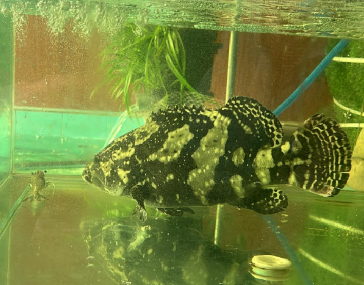 화면 캡처 2024-12-16 102434.png