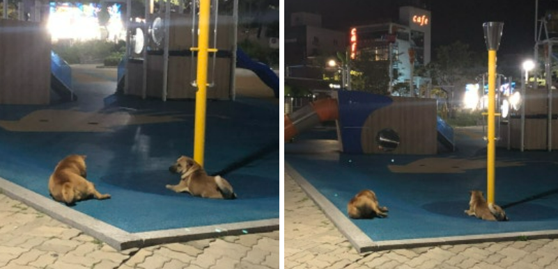 화면 캡처 2024-12-07 183802.png