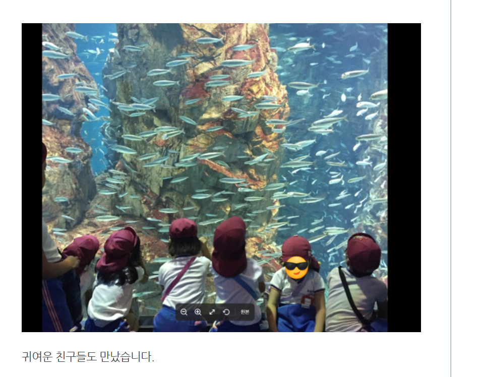 화면 캡처 2024-12-03 081834.png