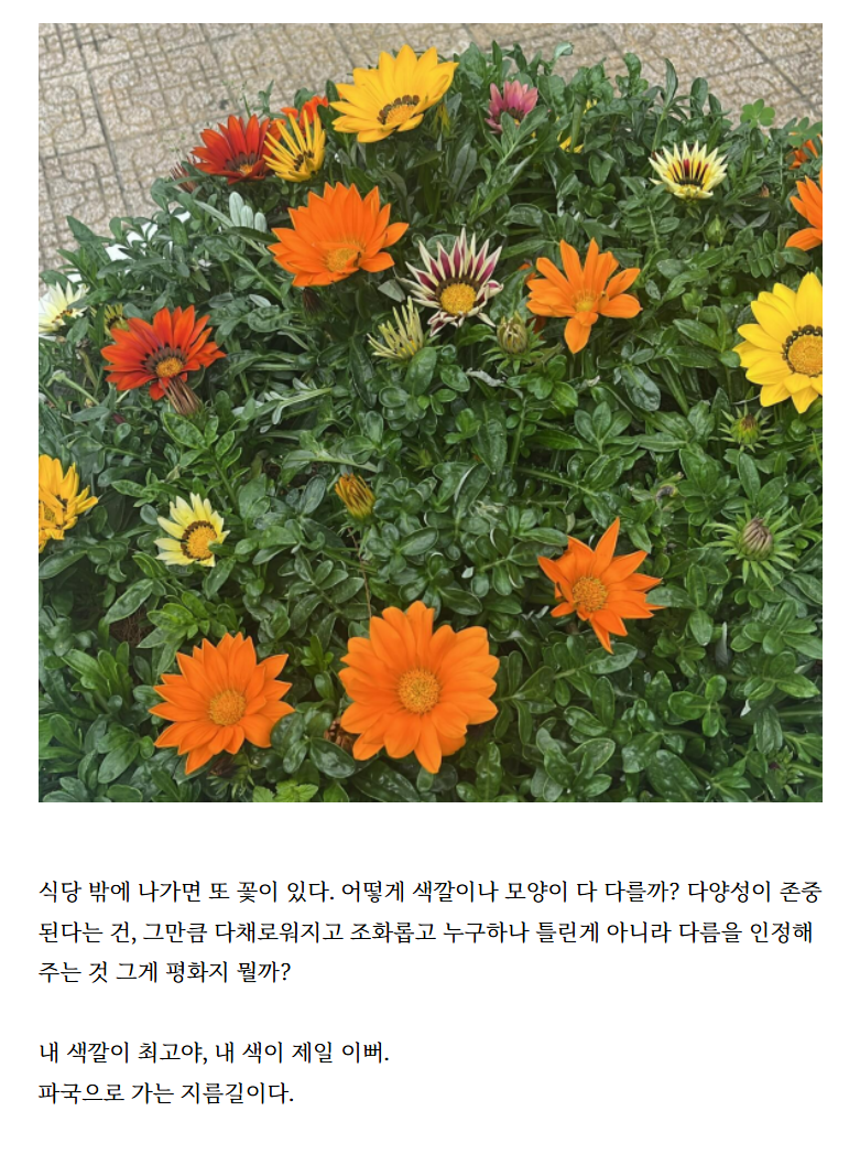 화면 캡처 2024-12-16 102501.png