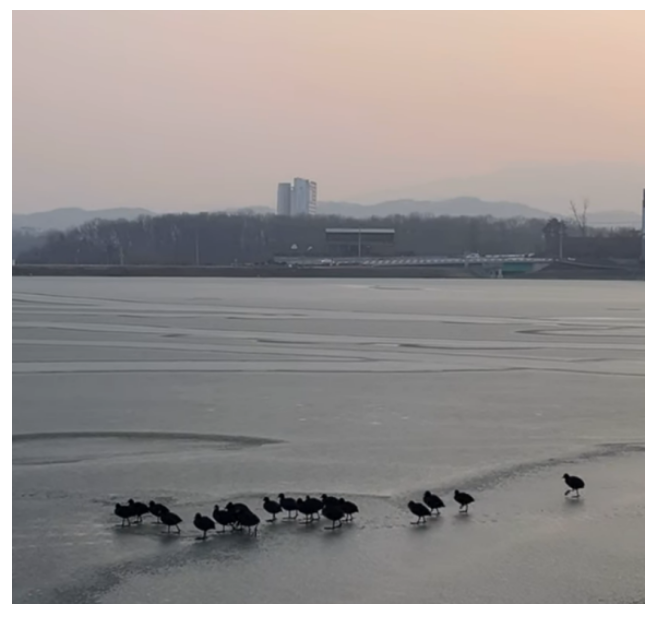 화면 캡처 2025-01-14 105943.png