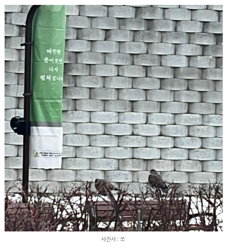 화면 캡처 2024-12-23 123632.png