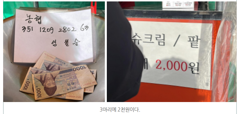 화면 캡처 2024-12-23 123652.png