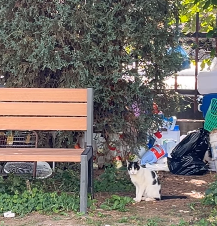 화면 캡처 2024-12-14 131751.png