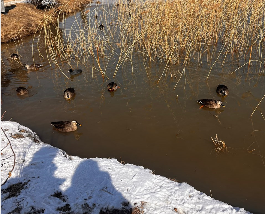 화면 캡처 2025-02-11 103204.png