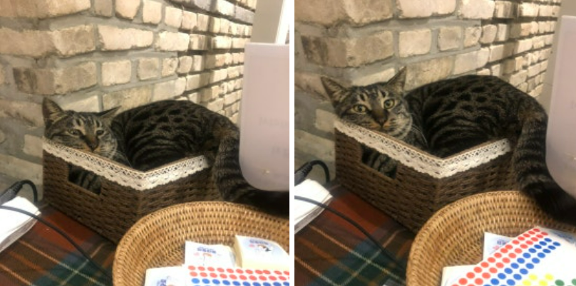 화면 캡처 2024-12-07 183900.png