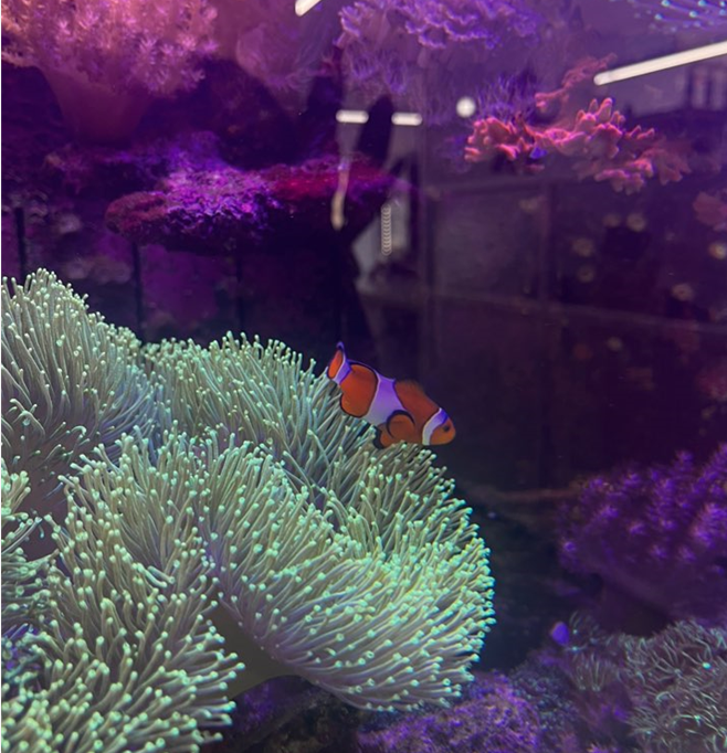 화면 캡처 2025-02-11 100145.png