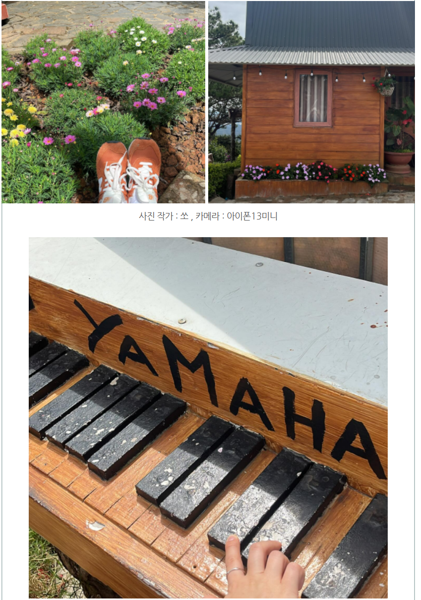 화면 캡처 2024-12-16 101103.png