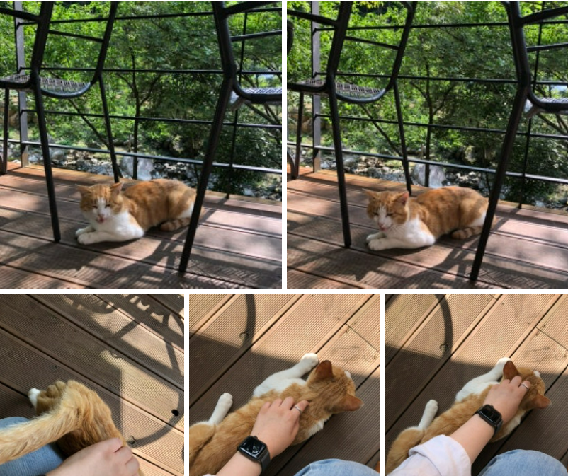 화면 캡처 2024-12-07 183740.png