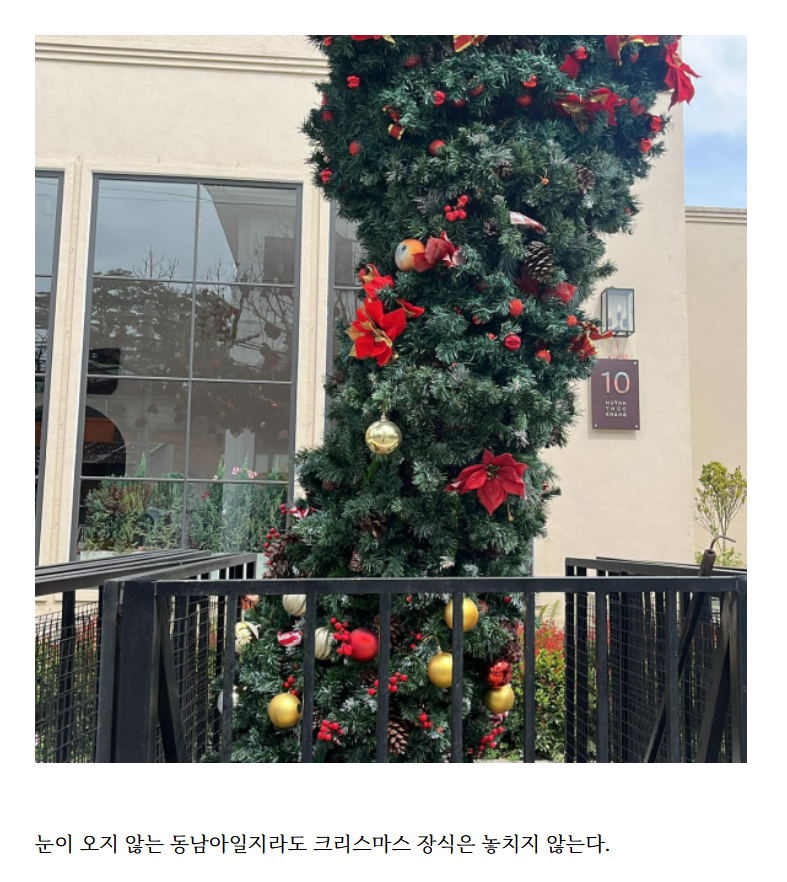 화면 캡처 2024-12-16 101631.png