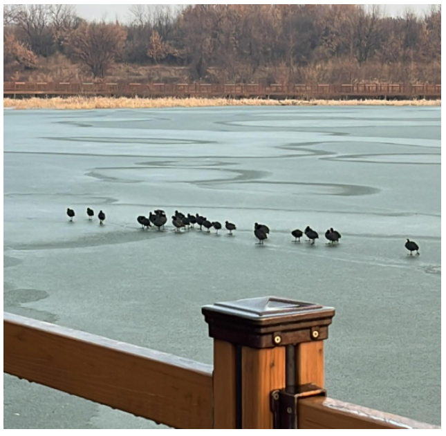 화면 캡처 2025-01-14 105932.png