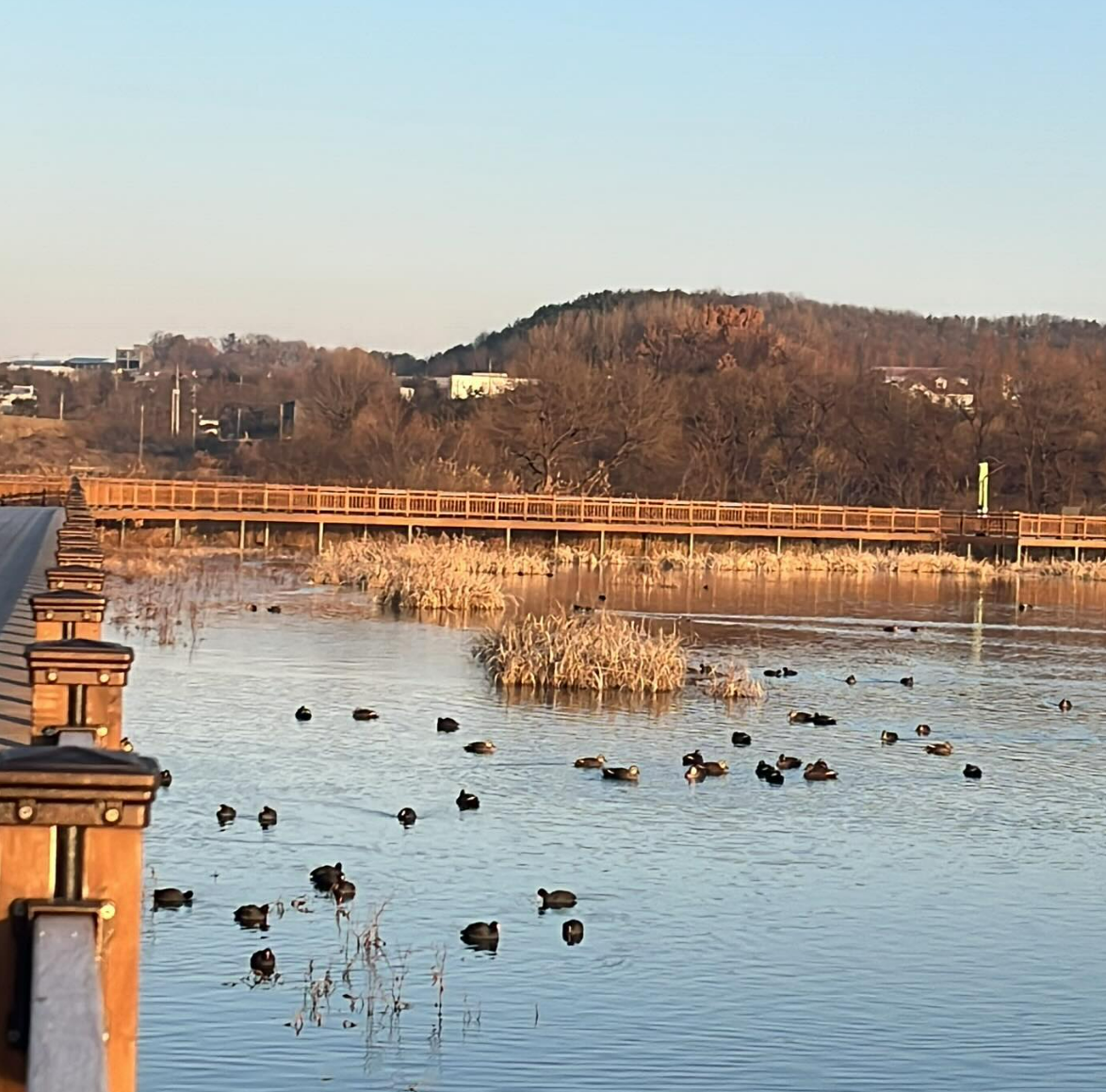 화면 캡처 2024-12-27 123748.png