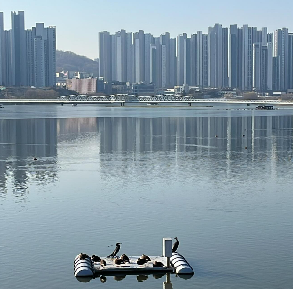 화면 캡처 2024-12-19 135134.png