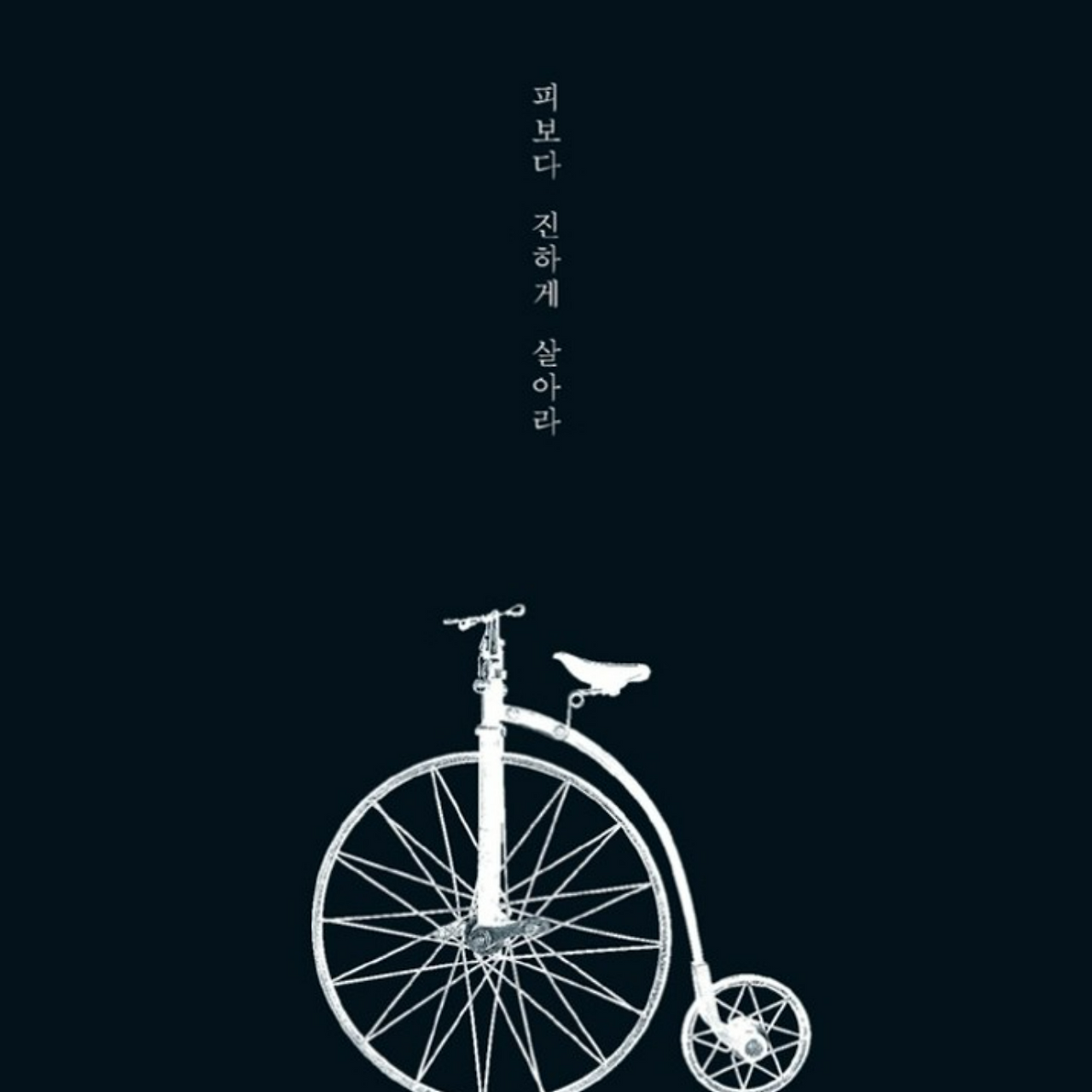 세이노의 가르침 표지.png