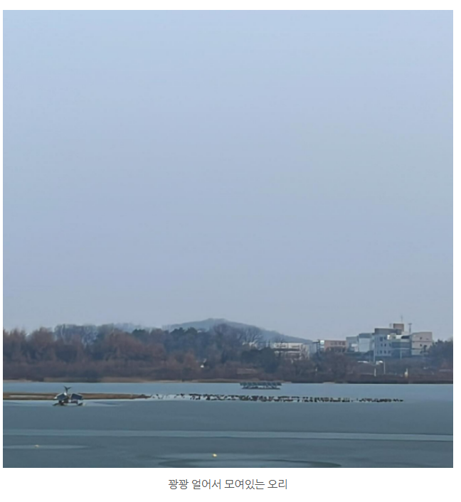 화면 캡처 2025-01-14 105923.png