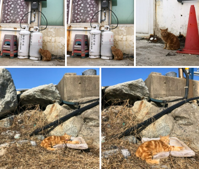 화면 캡처 2024-12-07 183719.png