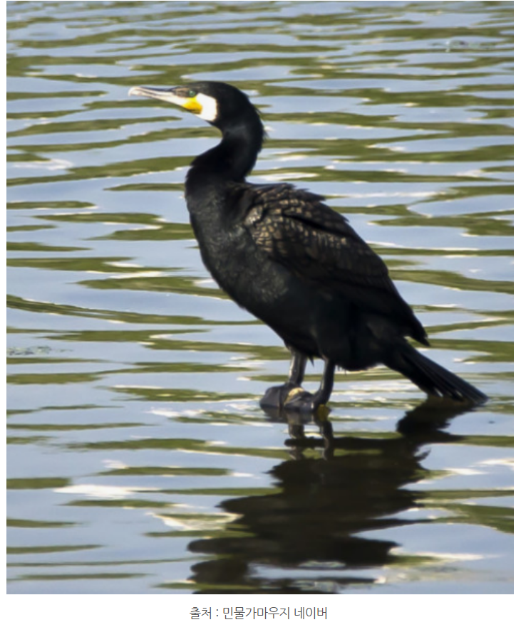 화면 캡처 2024-12-23 123545.png