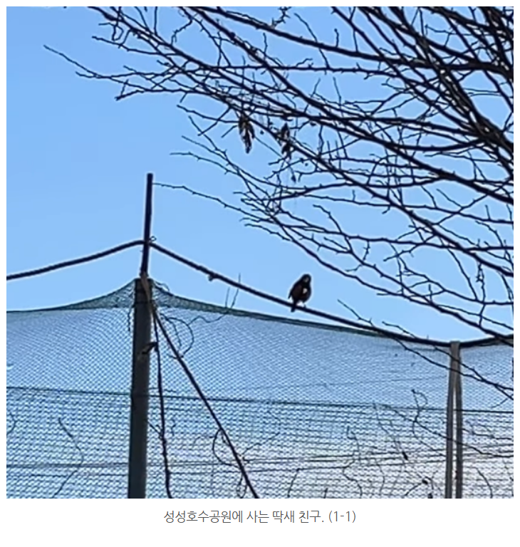 화면 캡처 2024-12-23 123605.png