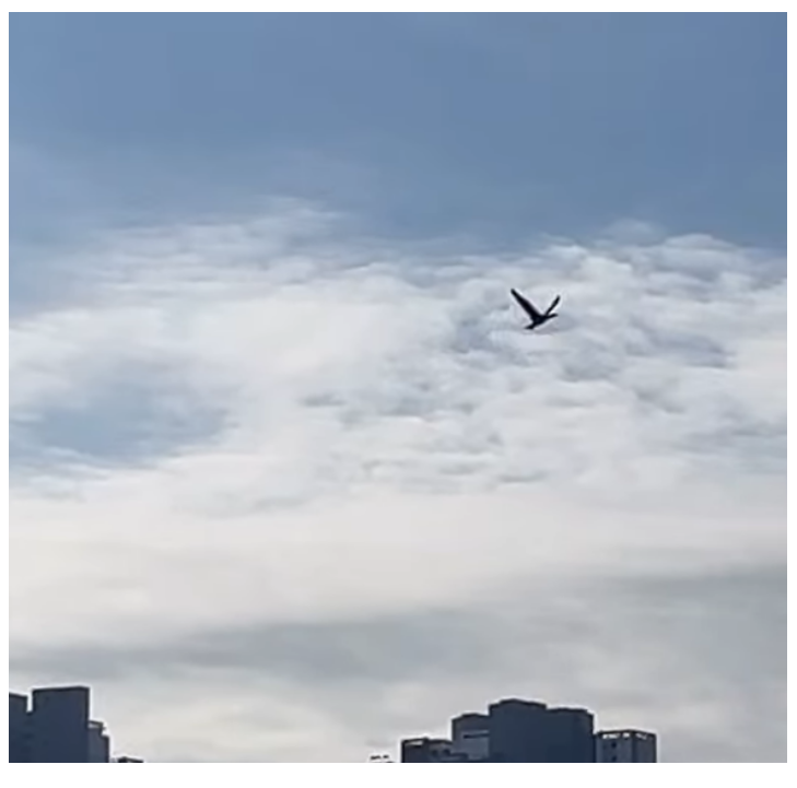 화면 캡처 2024-12-23 123622.png