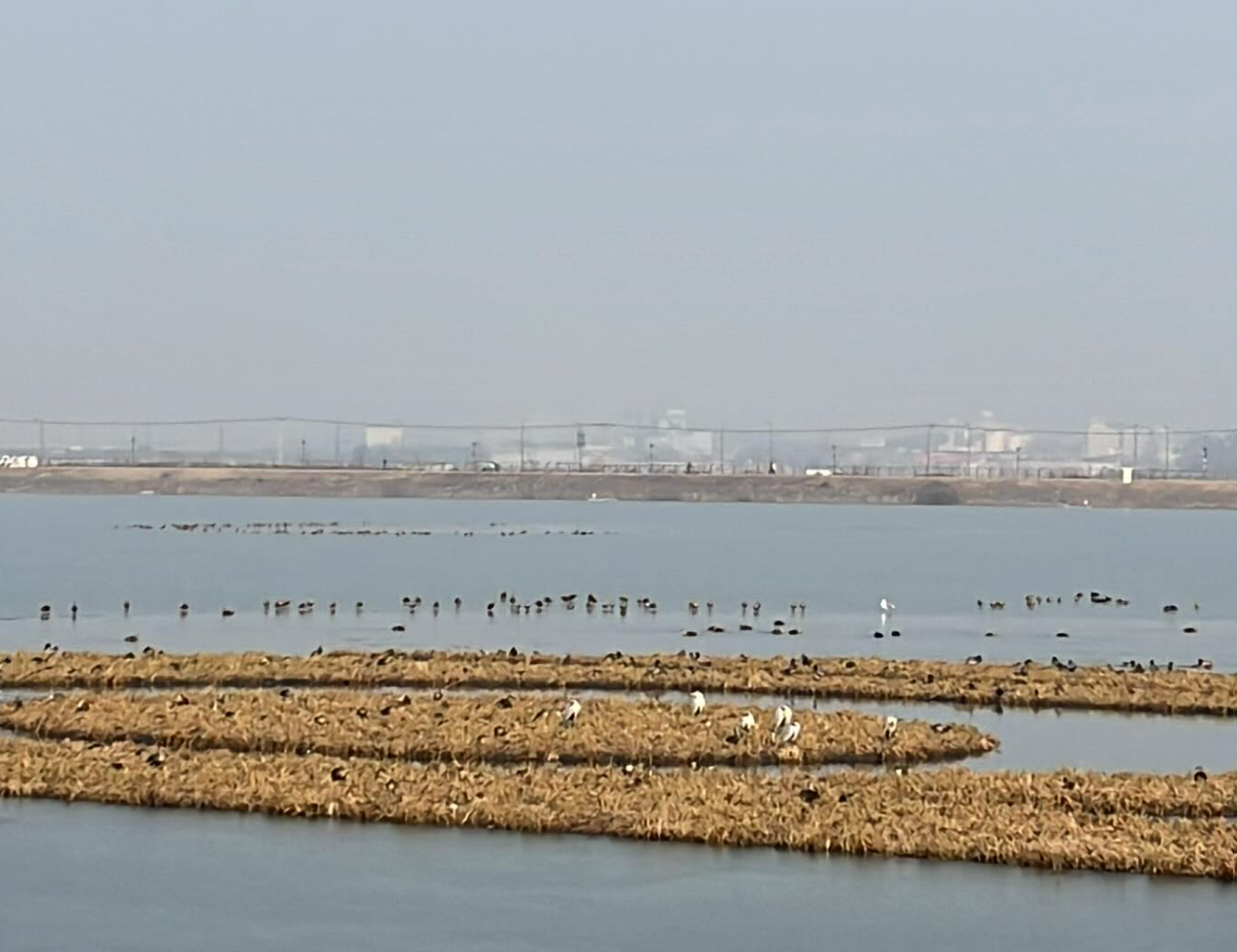 화면 캡처 2025-01-21 174001.png