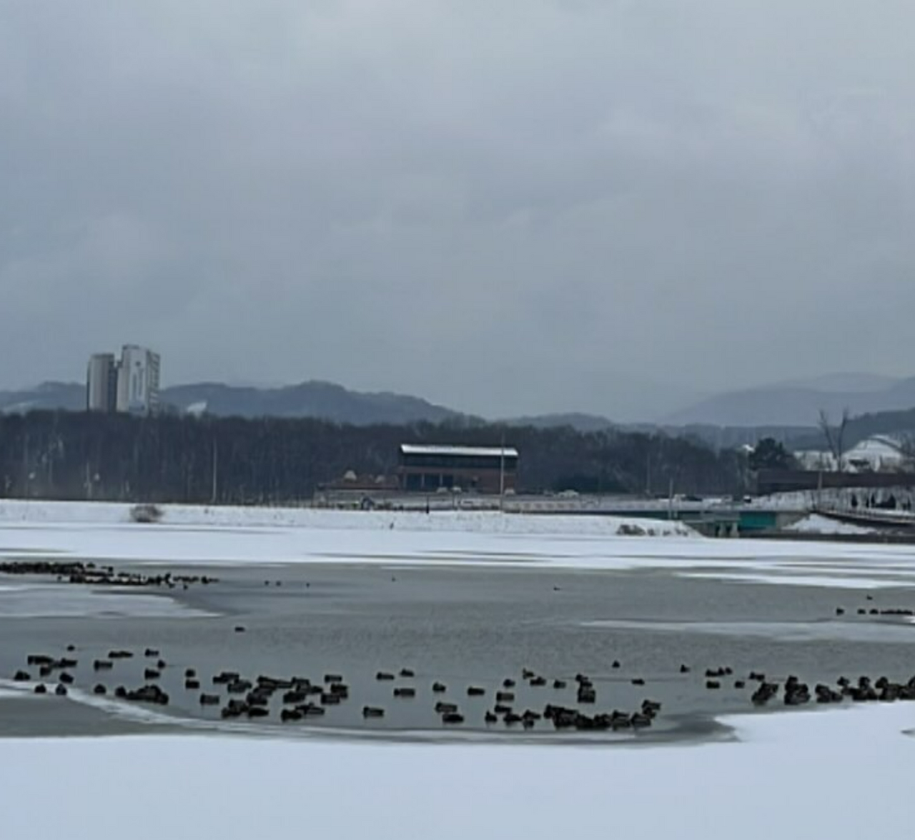 화면 캡처 2025-02-07 123747.png