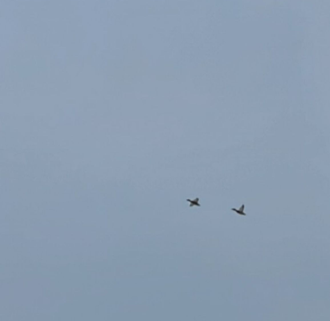 화면 캡처 2025-02-07 123732.png