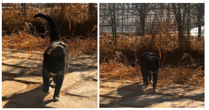 화면 캡처 2025-02-11 122255.png