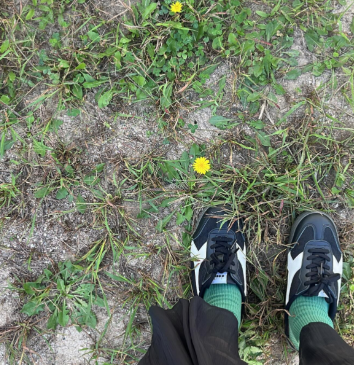 화면 캡처 2024-12-14 131650.png