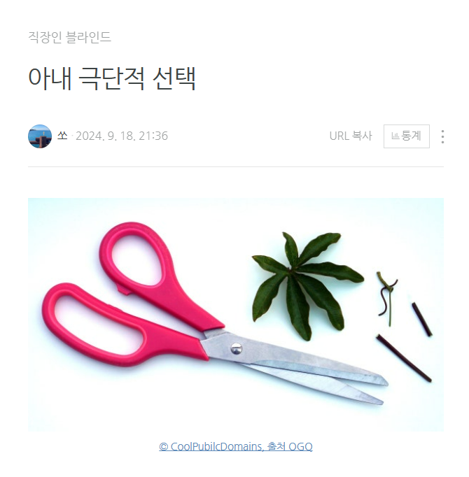 화면 캡처 2025-02-12 070433.png