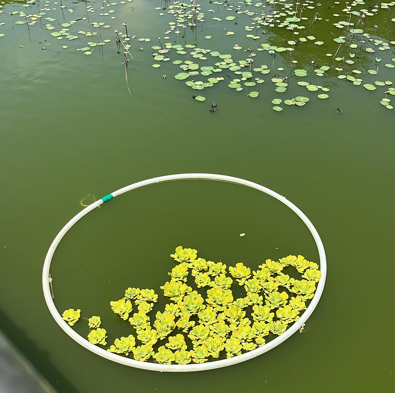 화면 캡처 2025-06-07 070938.png