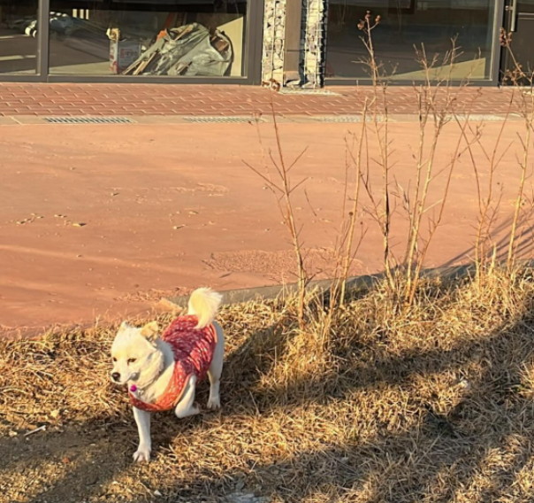 화면 캡처 2025-01-03 105438.png