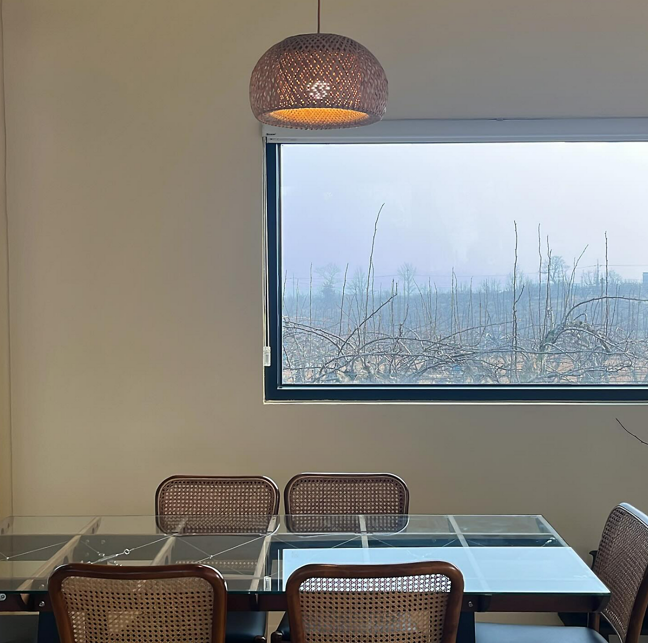 화면 캡처 2025-01-21 174533.png