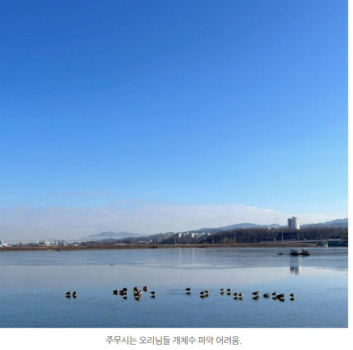 화면 캡처 2024-12-23 123523.png