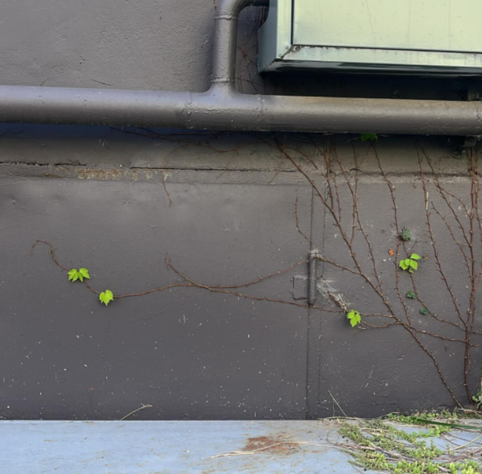 화면 캡처 2024-12-14 131954.png