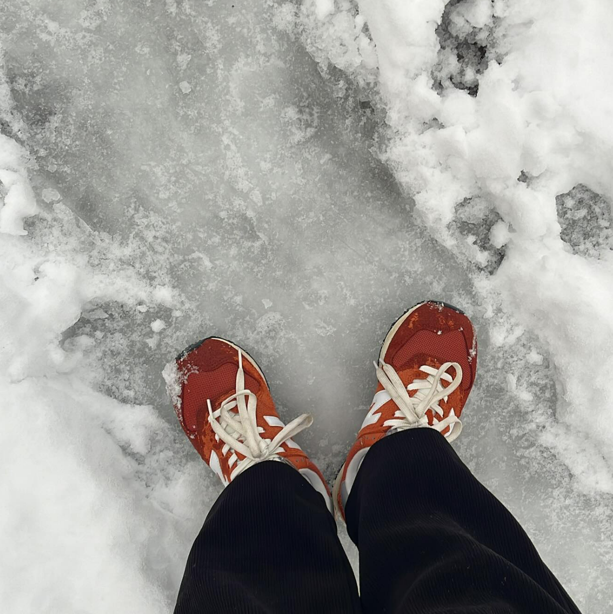 화면 캡처 2024-11-28 165313.png