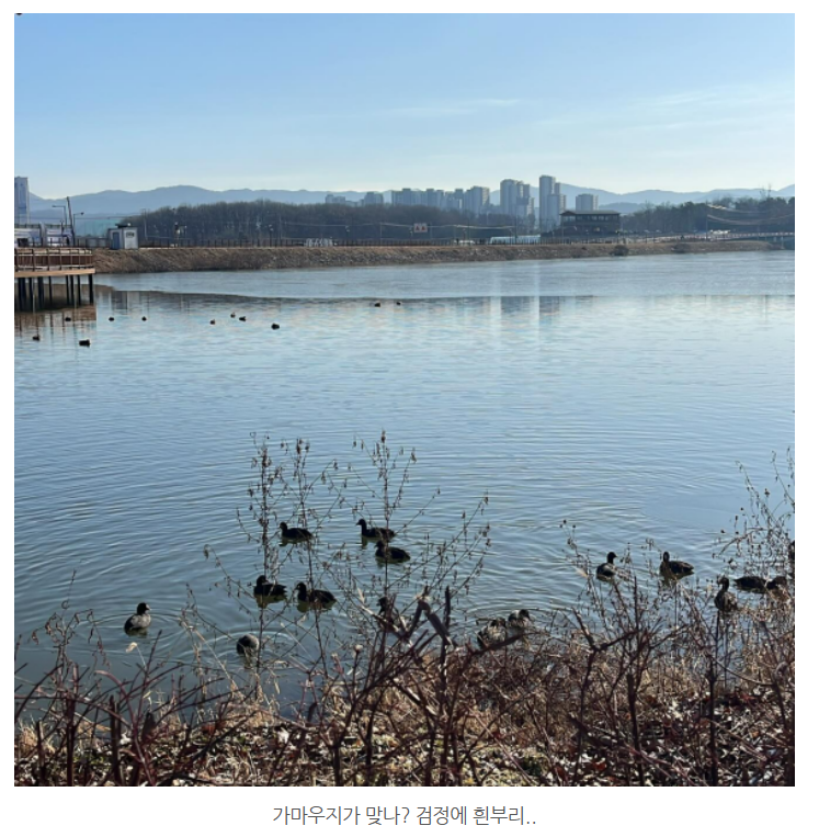 화면 캡처 2024-12-23 123535.png