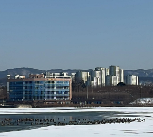 화면 캡처 2025-02-11 220933.png