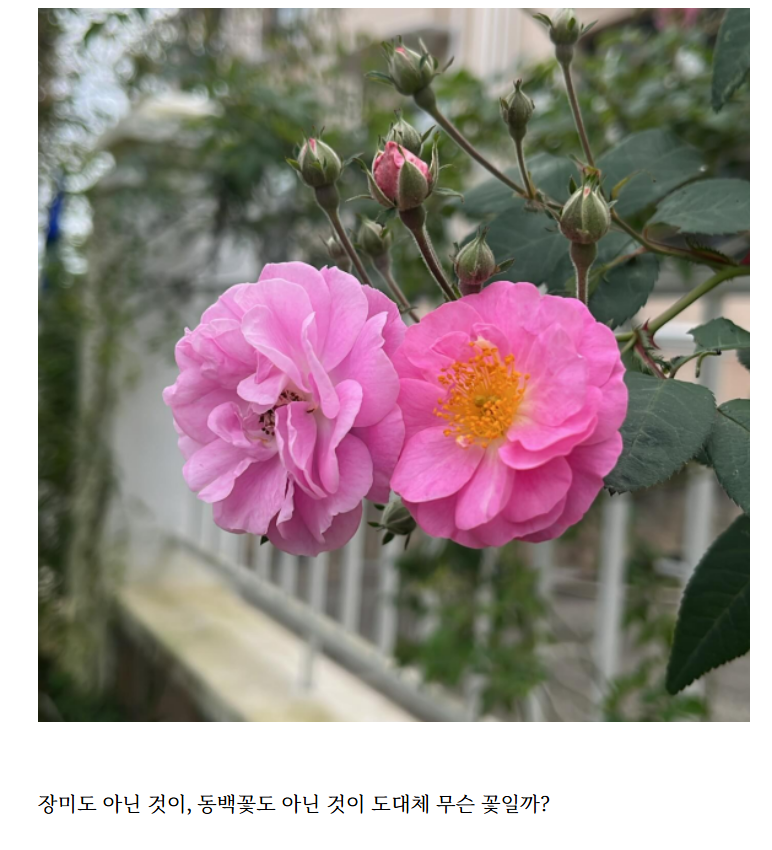 화면 캡처 2024-12-16 101603.png