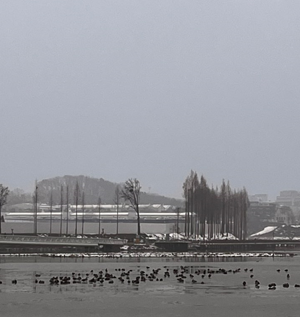 화면 캡처 2025-02-02 071340.png