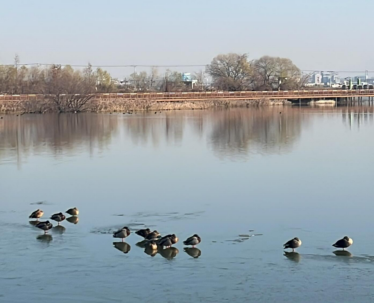 화면 캡처 2024-12-19 135150.png