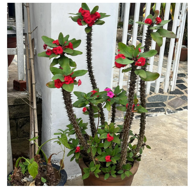 화면 캡처 2024-12-16 101713.png