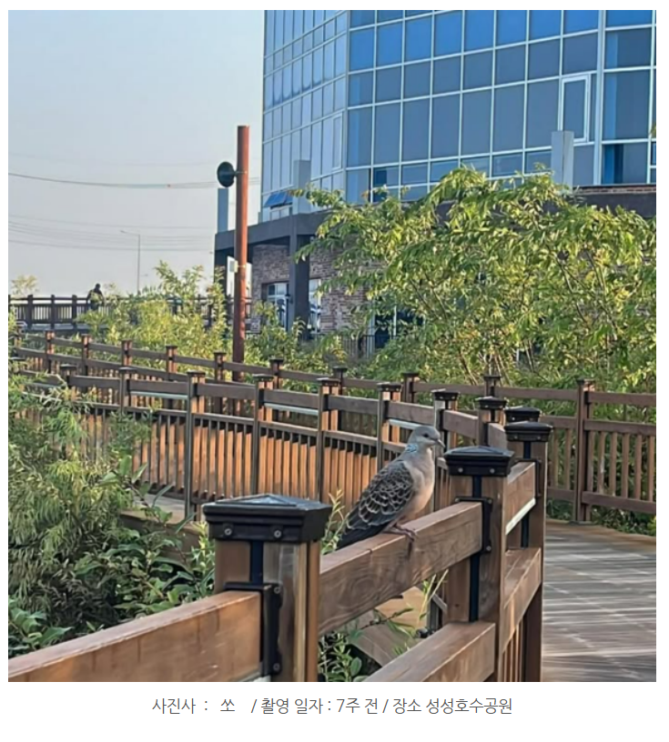 화면 캡처 2024-12-23 123642.png