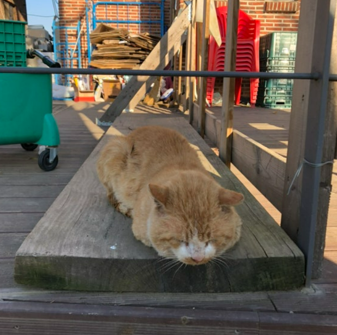 화면 캡처 2024-12-07 183751.png