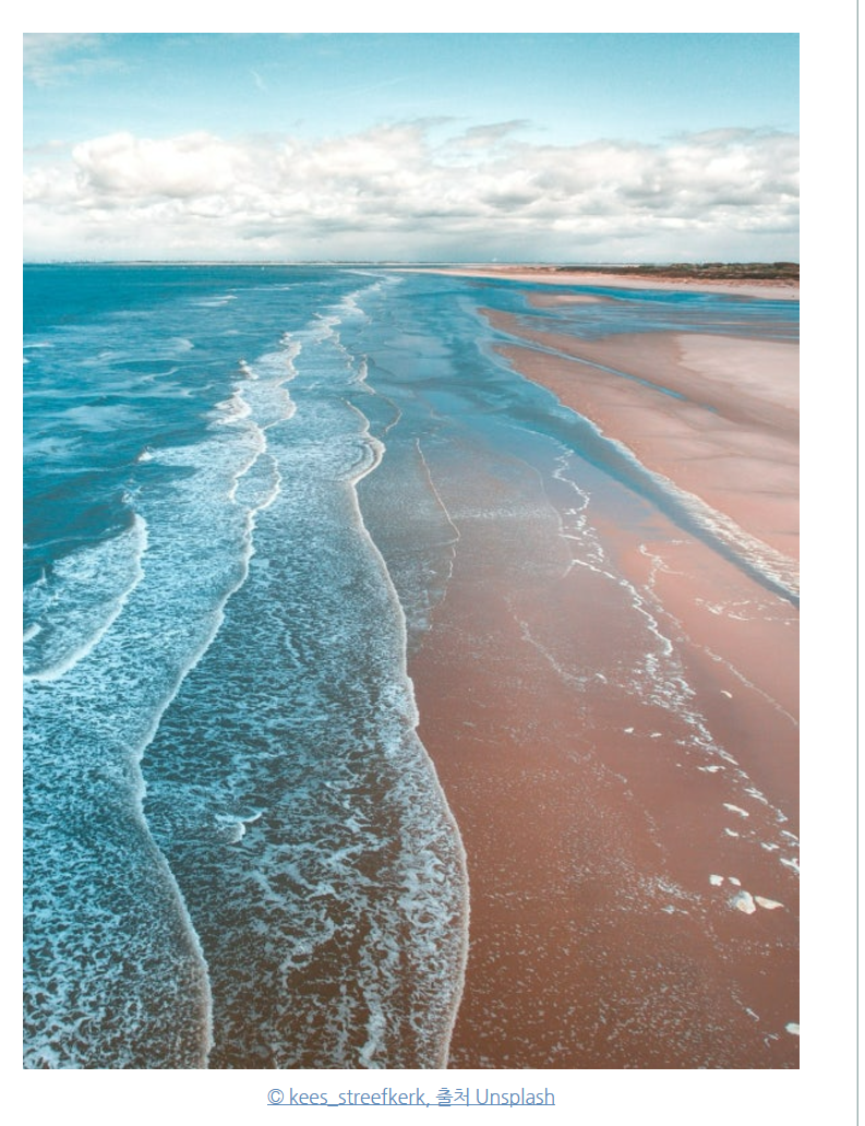 화면 캡처 2024-11-29 143817.png