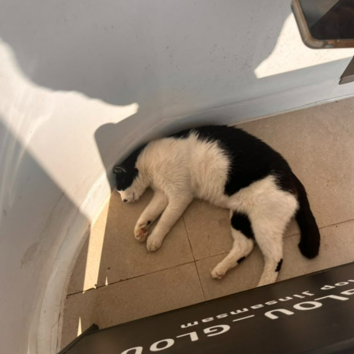 화면 캡처 2024-12-07 183655.png