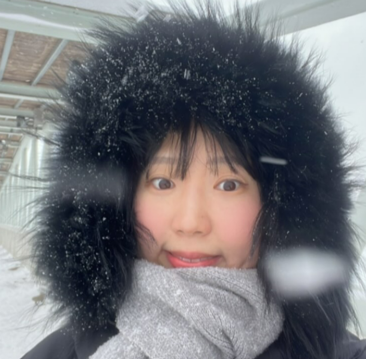 화면 캡처 2025-02-07 123721.png