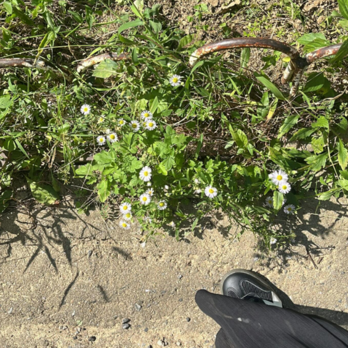 화면 캡처 2024-12-14 131629.png